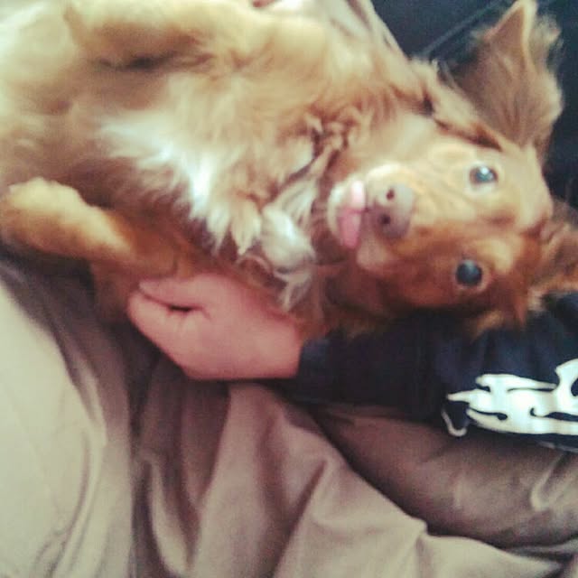 satoさんの実例写真