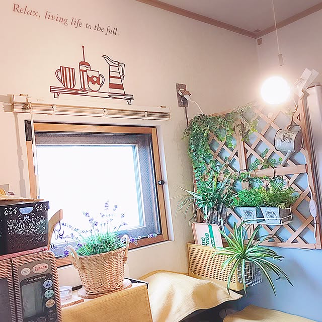 xigyanさんの実例写真