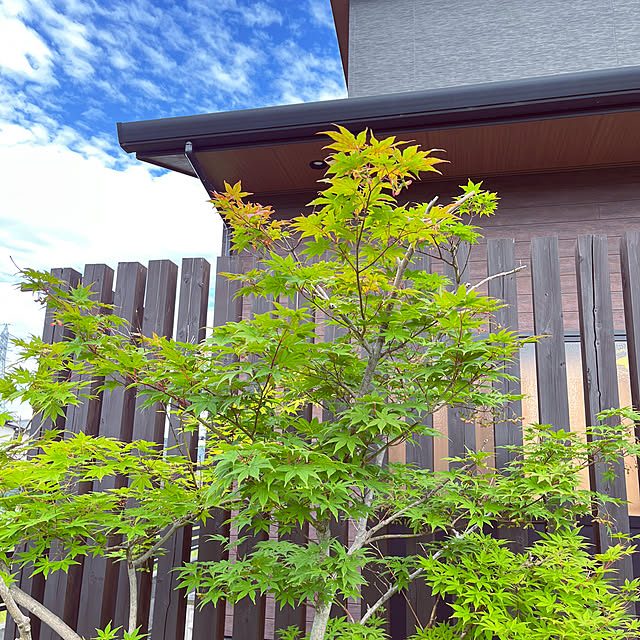 seiさんの部屋
