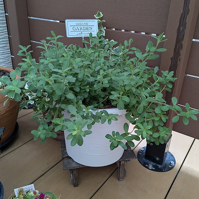 yunさんの部屋