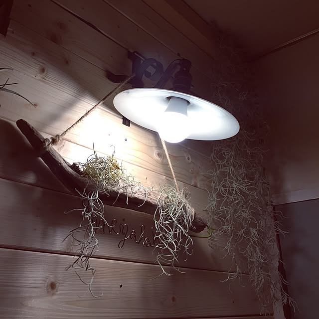 リビング/DIY/ハンドメイド/アンティークのインテリア実例 - 2017-04-29 00:55:30
