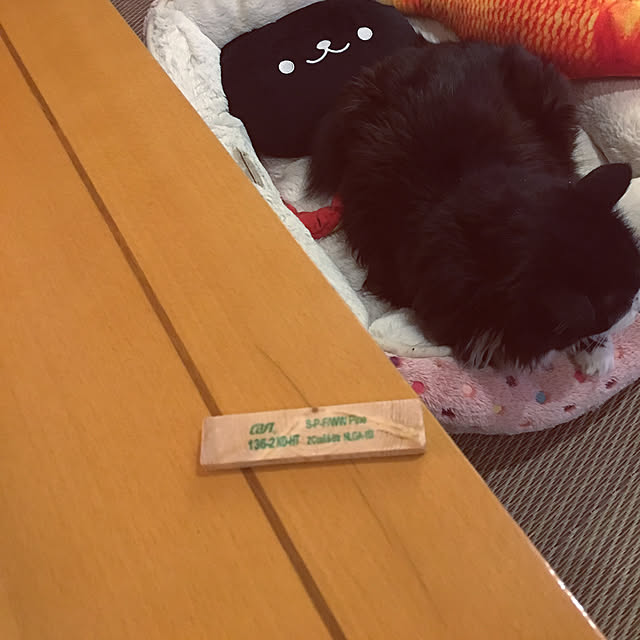 kanaさんの実例写真