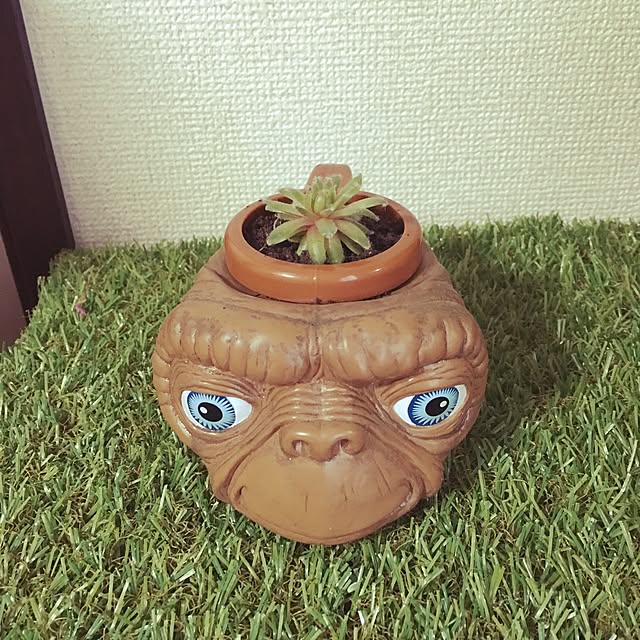 emiさんの実例写真