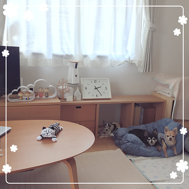 Emiさんの実例写真
