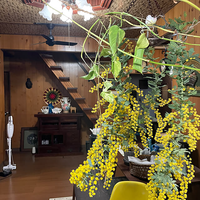 shin0719さんの部屋