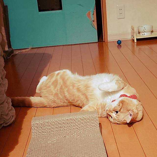 moolさんの部屋