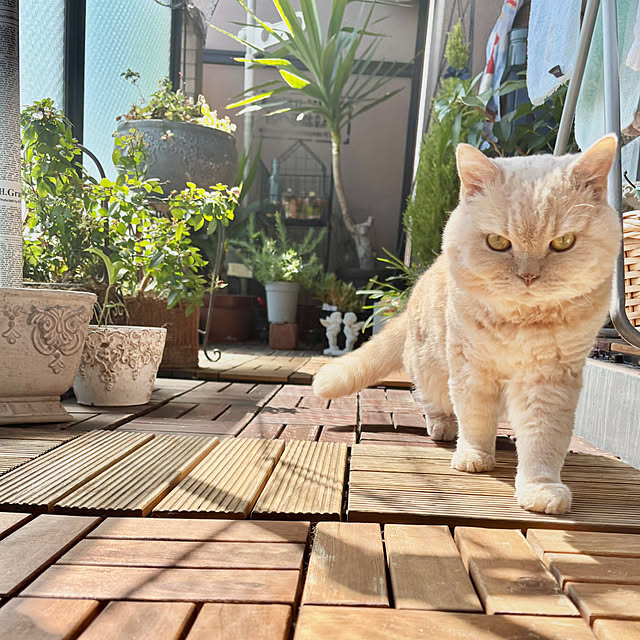 naokoさんの部屋