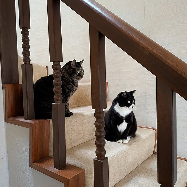 Mayumi8888さんの部屋