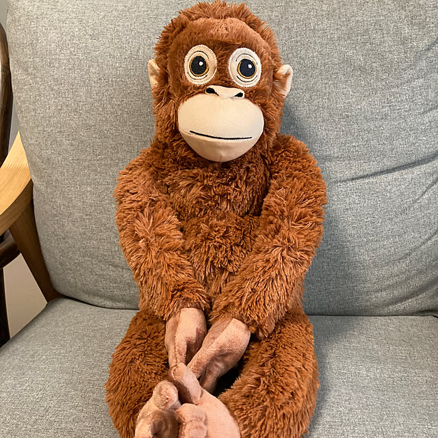 LIONさんの実例写真