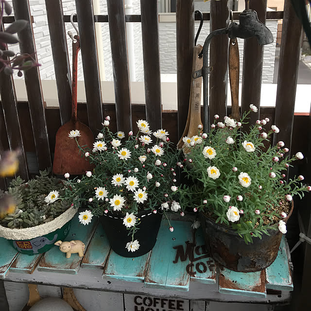 meguko.ryanさんの実例写真