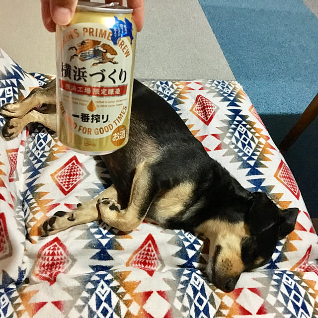 mugijunさんの実例写真