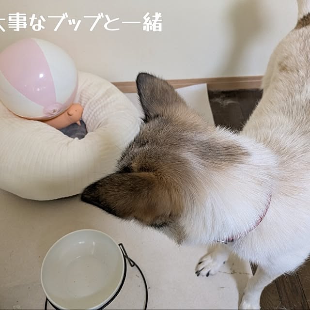asaさんの部屋