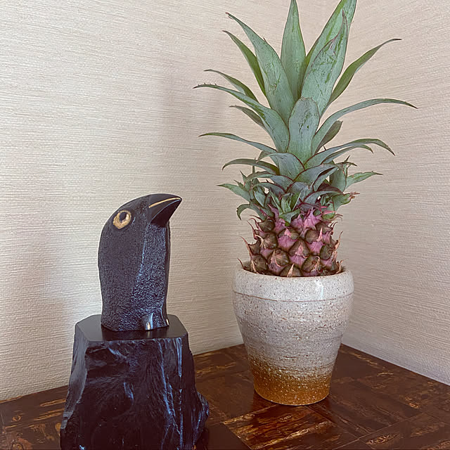 imoimoさんの実例写真