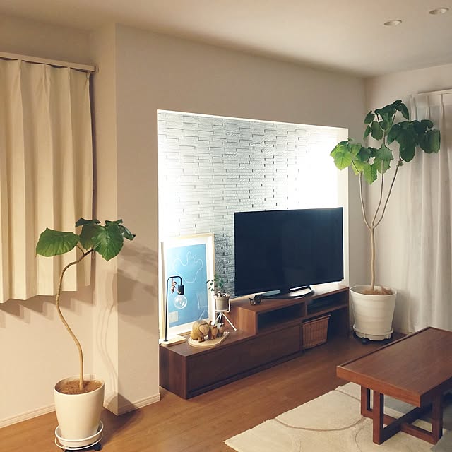 tan5さんの実例写真