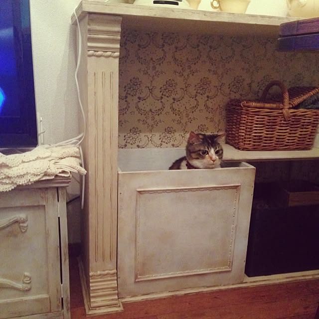 saqura_apartment101さんの実例写真