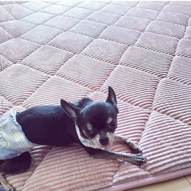 Bienvenueさんの実例写真