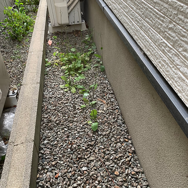 Ayaさんの部屋