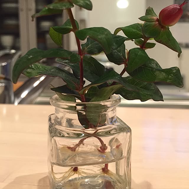 murapiさんの実例写真