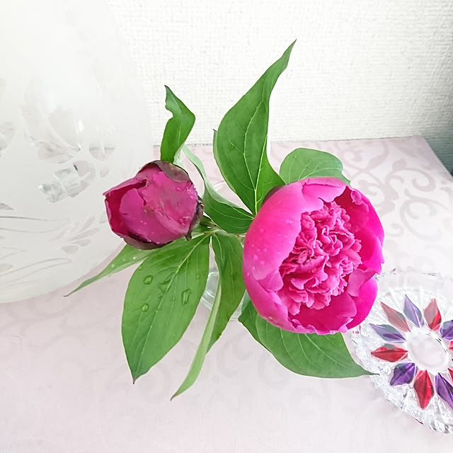 sさんの実例写真