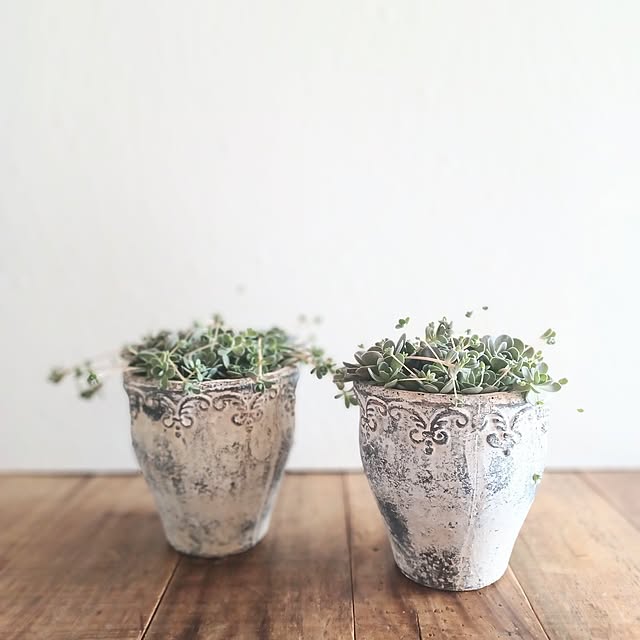 shituraeさんの部屋