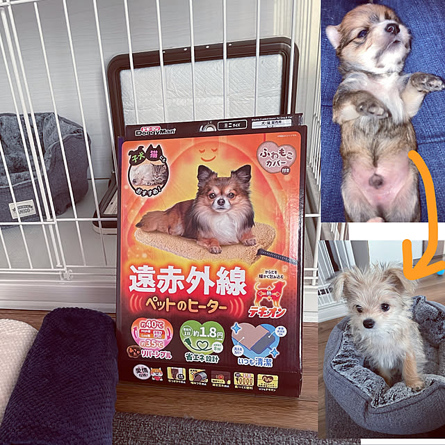 seiさんの実例写真