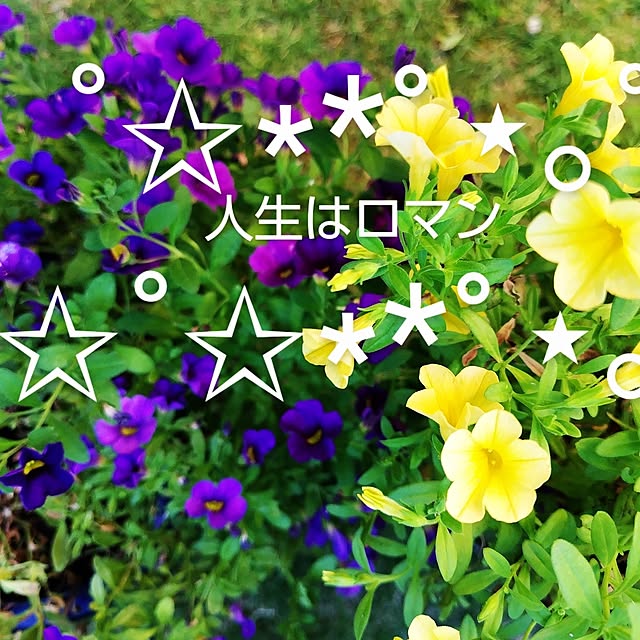 katさんの部屋