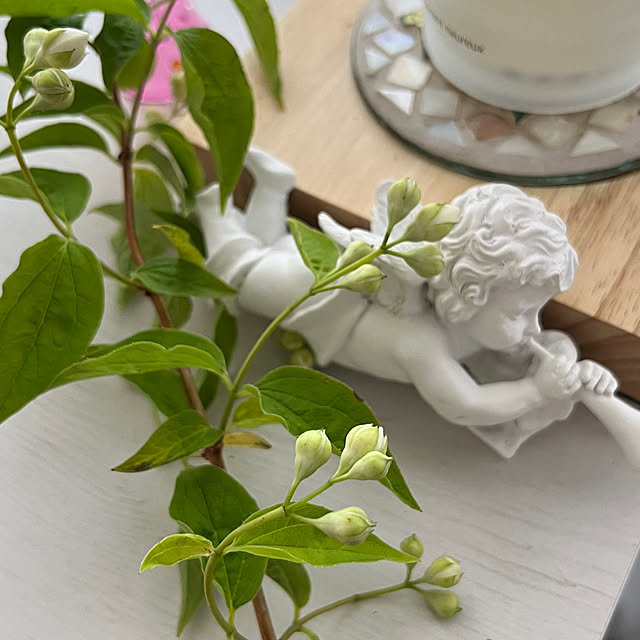 riokaさんの実例写真