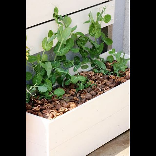 garden_life_saiさんの実例写真