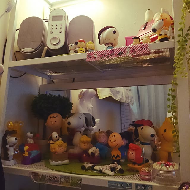 rinmarorinさんの実例写真