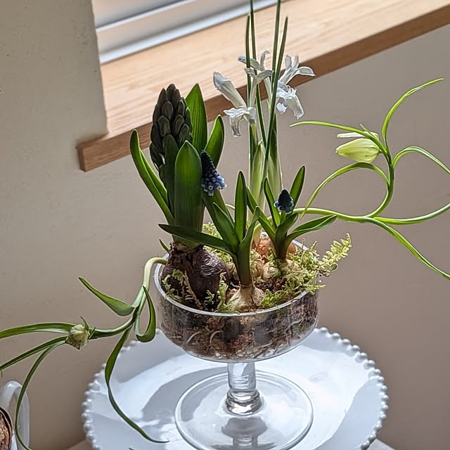 nolleyさんの部屋