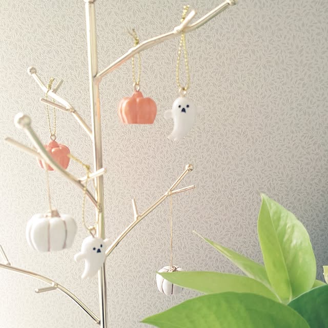 tan5さんの部屋