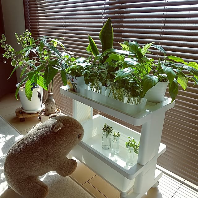 meiさんの実例写真