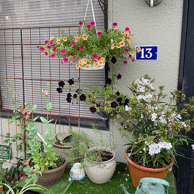 shin0719さんの実例写真