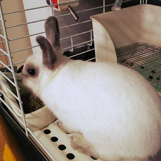 makiさんの実例写真