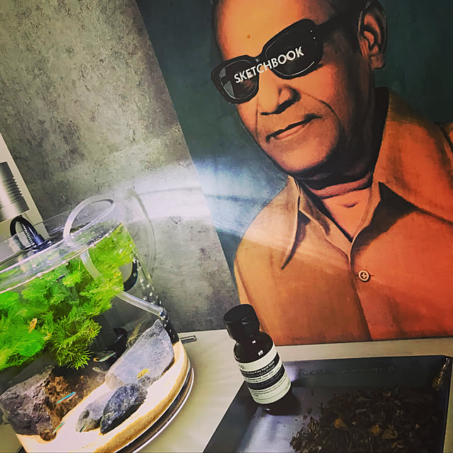 IBさんの実例写真