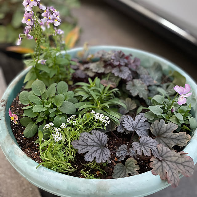 buchiさんの部屋