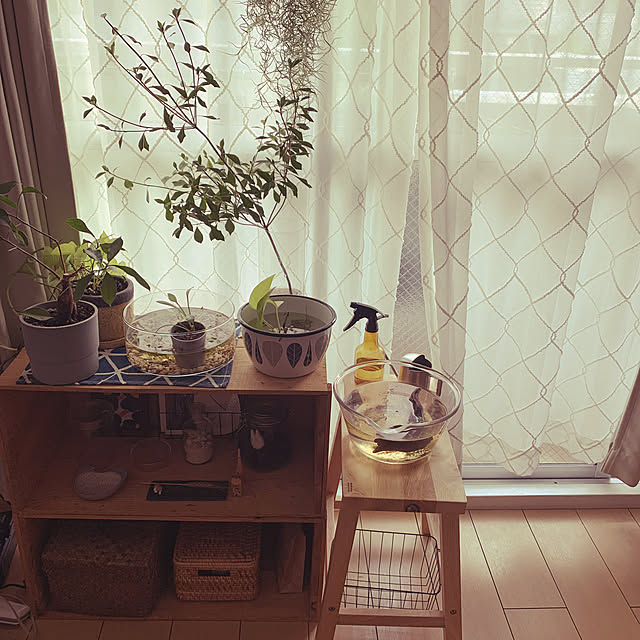 Tomさんの実例写真