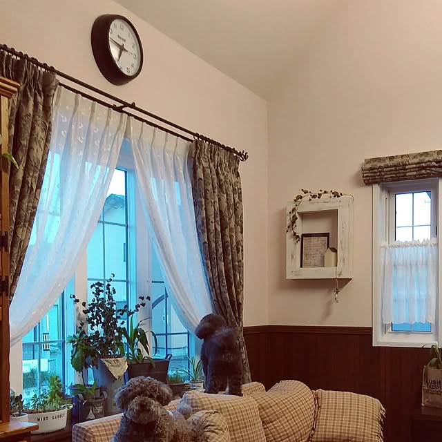 usagiさんの実例写真