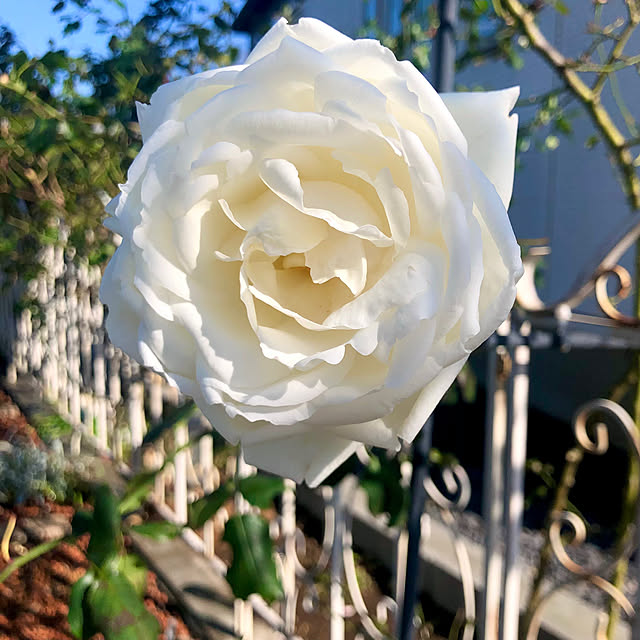 tomoさんの実例写真