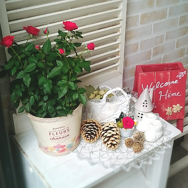miho.okuさんの実例写真