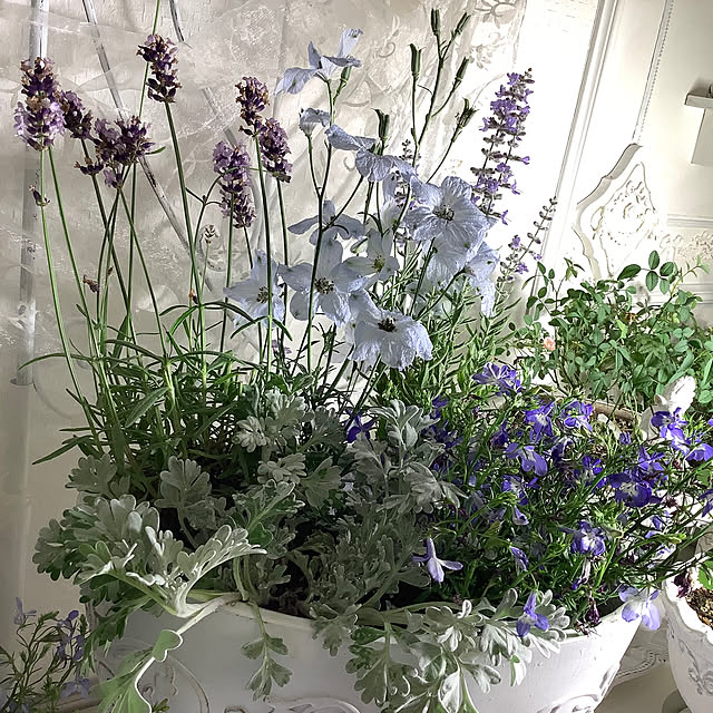 souyaさんの部屋