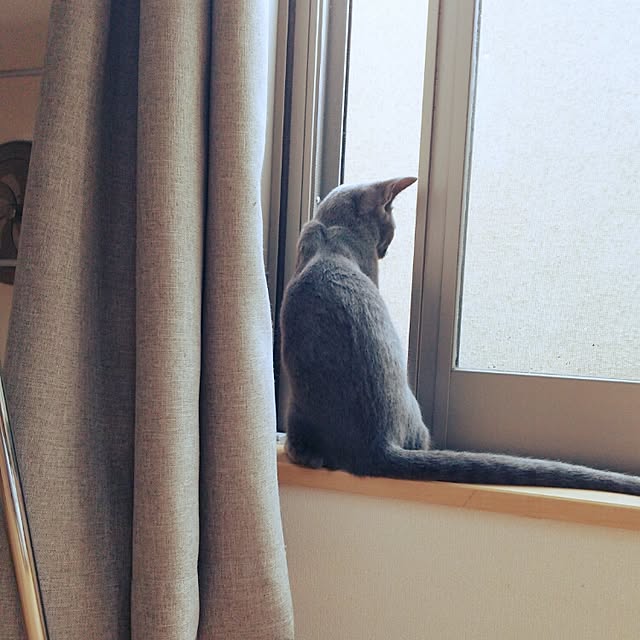 tittaさんの実例写真