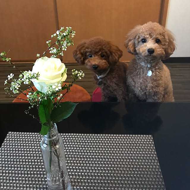 Karinさんの実例写真