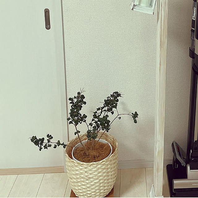 t-famさんの部屋