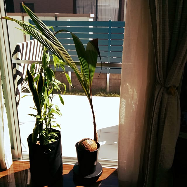 maotowaさんの実例写真