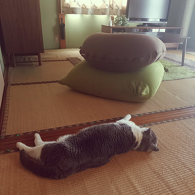 rhuさんの実例写真