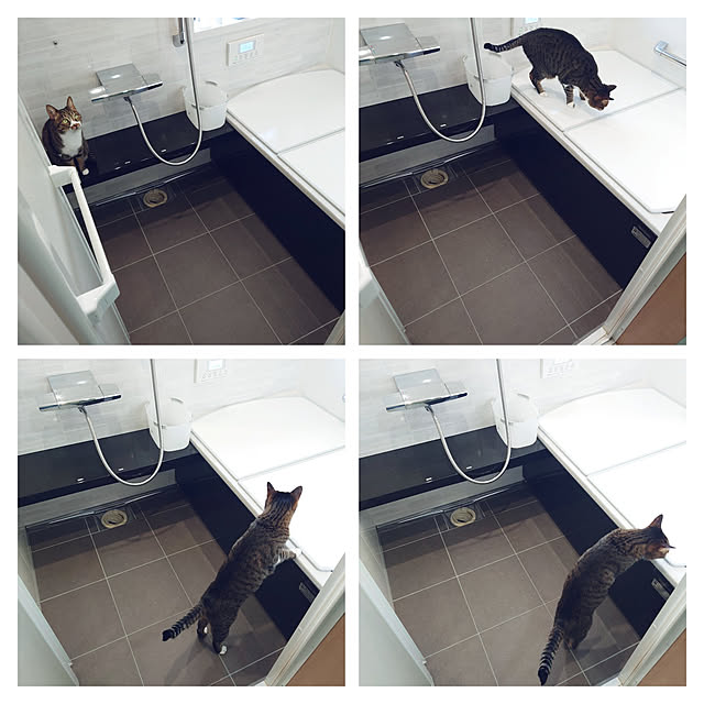 nachiさんの実例写真