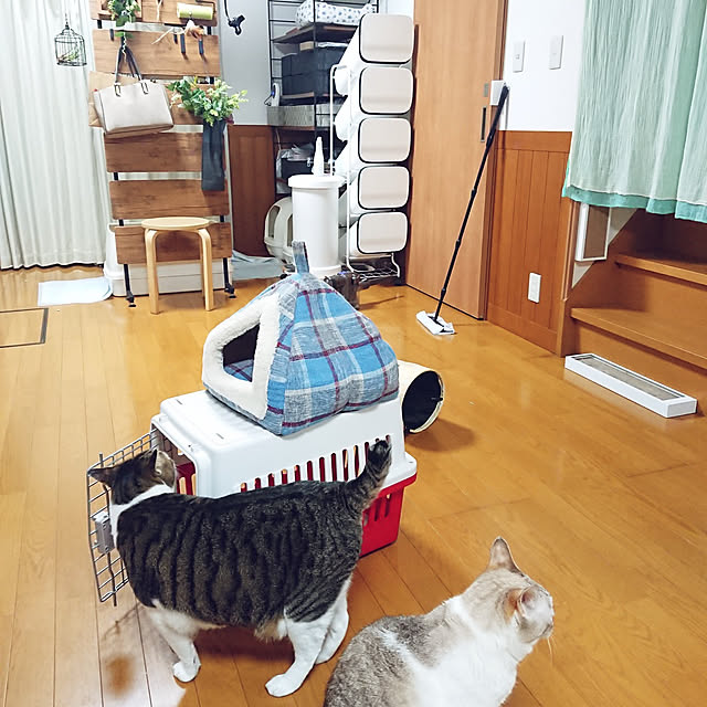 nachiさんの実例写真