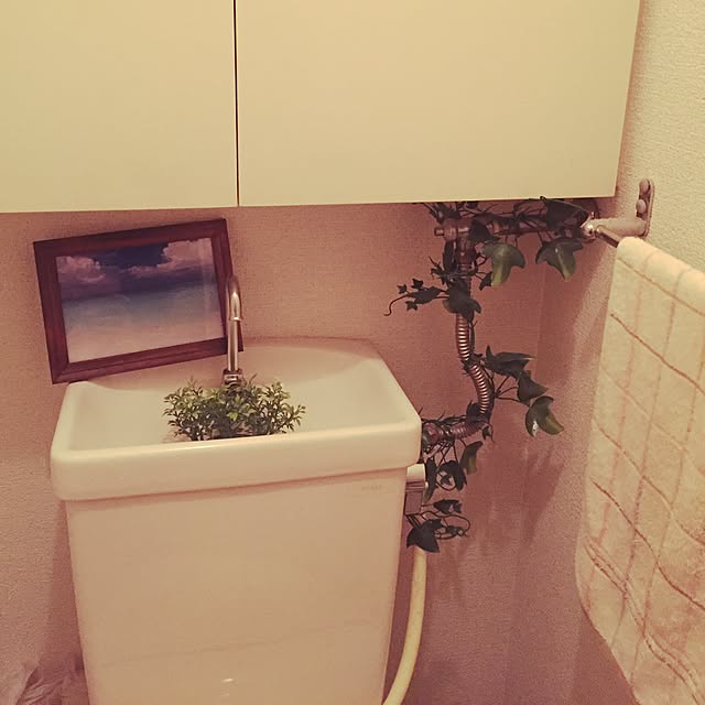 yukiさんの実例写真