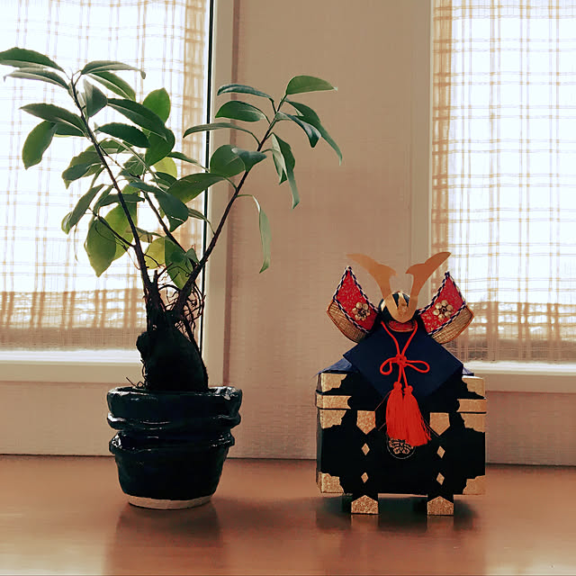 HARUさんの実例写真